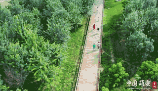 4db8a67b90f1cb9170025599eb8a9819_1211625969_16485365334961n.gif