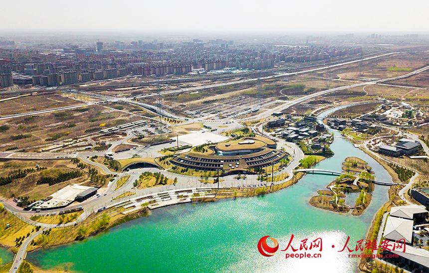 航拍雄安郊野公園。人民網(wǎng)宋燁文攝
