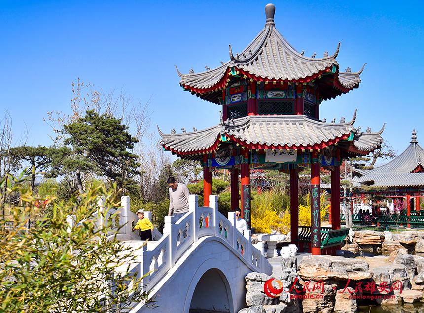 春天的雄安郊野公園，春和景明。人民網(wǎng)宋燁文攝