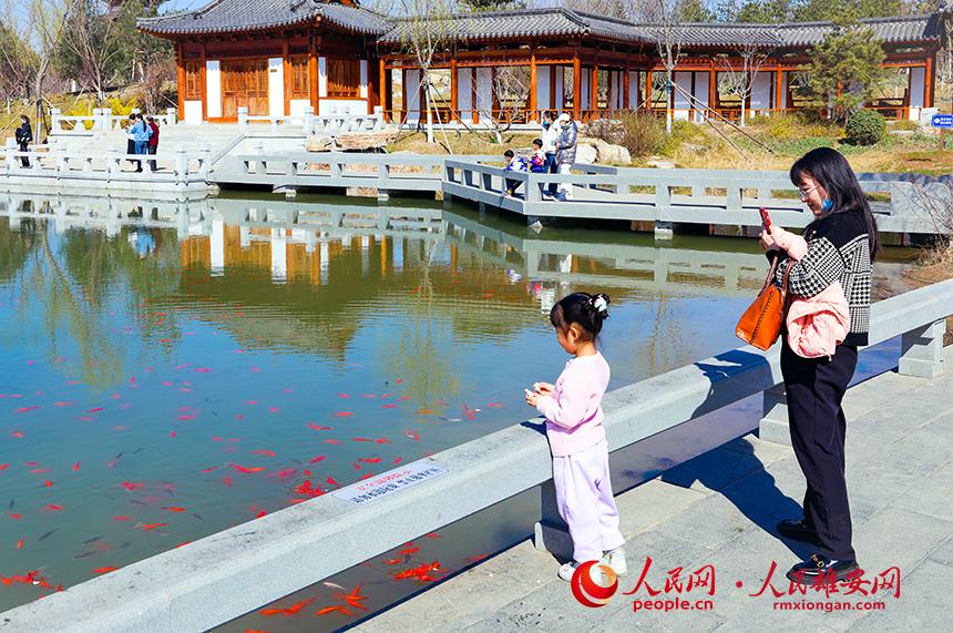 雄安悅?cè)莨珗@一角，不少家長帶著孩子前來游玩。人民網(wǎng)宋燁文攝