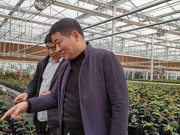諸新良和農(nóng)戶一起研究花木種植技術(shù)。受訪者供圖