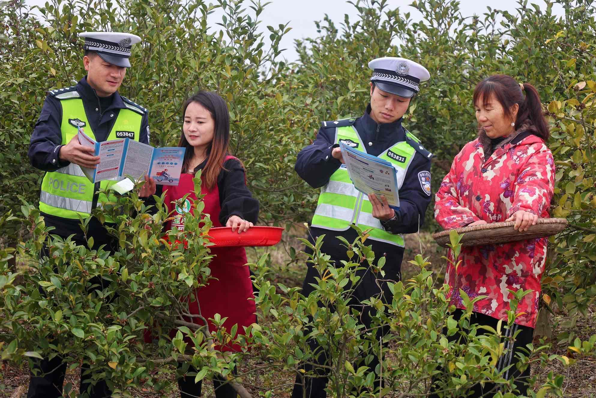 交通安全進(jìn)田間