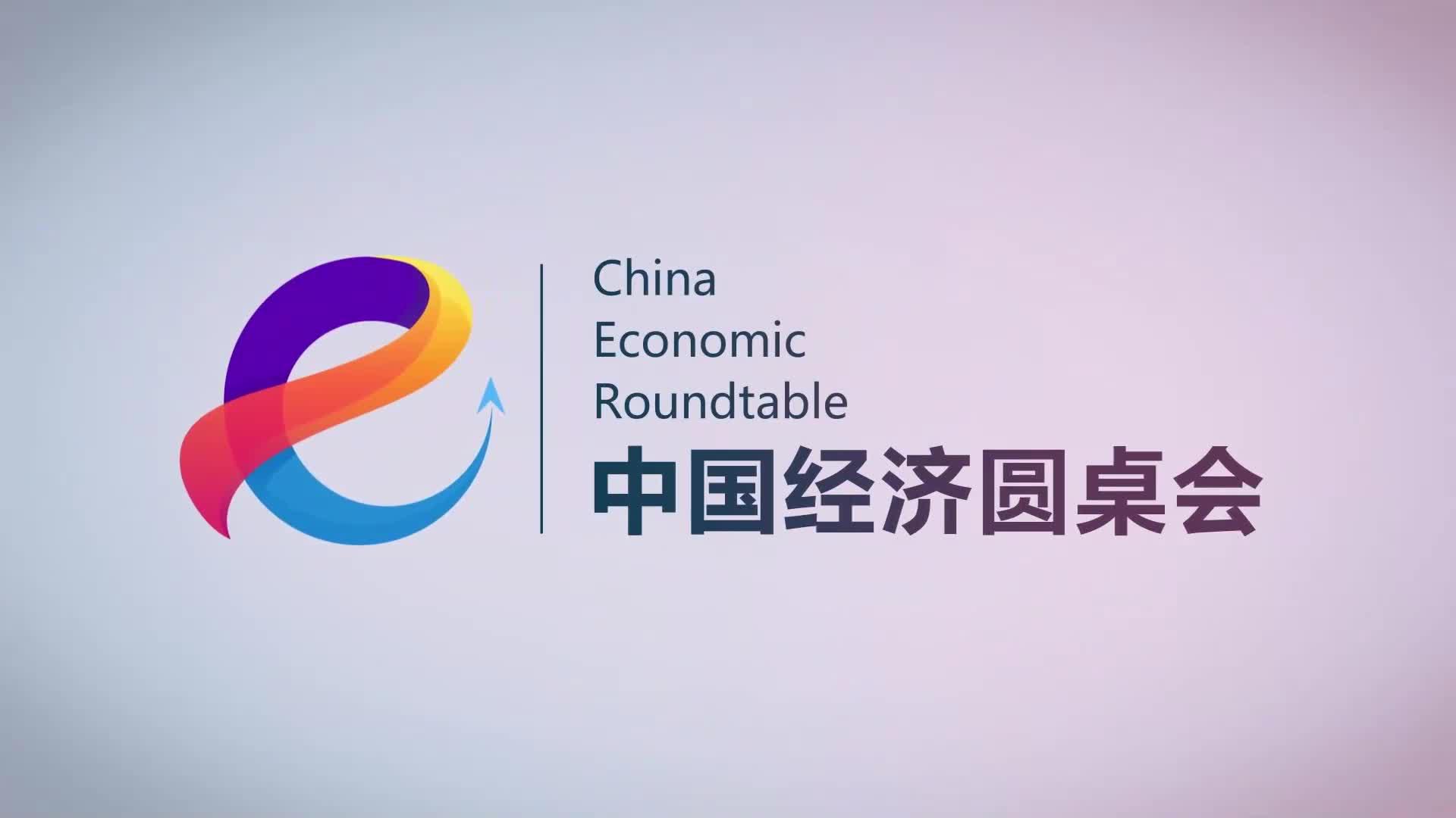 “中國(guó)經(jīng)濟(jì)圓桌會(huì)”共話民營(yíng)經(jīng)濟(jì)促進(jìn)法出臺(tái)