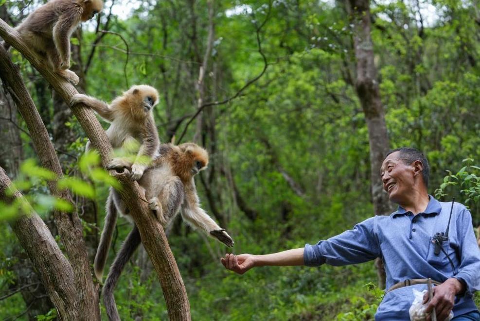 首次立法！國家公園筑起“法治屏障”